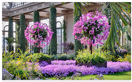 Longwood Gardens Admission Only 9